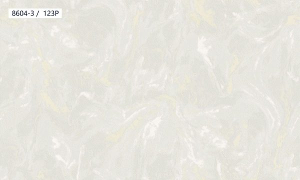 8604-3,123P