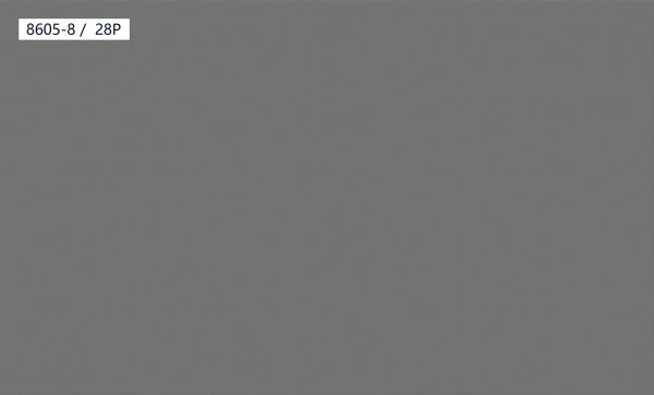 8605-8,28P
