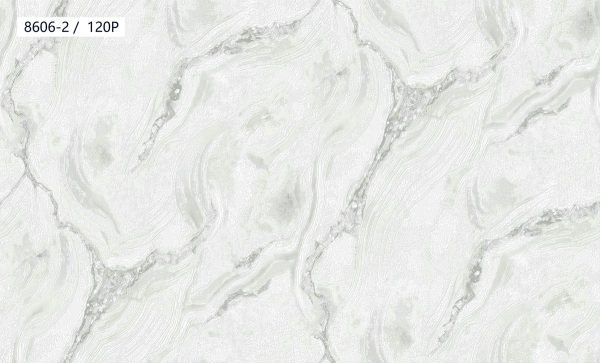 8606-2,120P