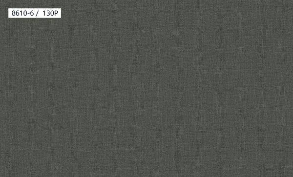 8610-6,130P