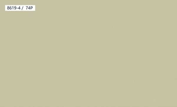 8619-4,74P