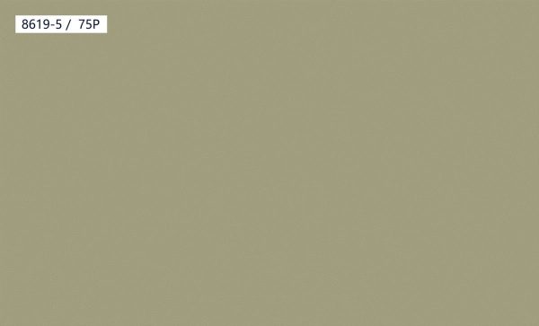8619-5,75P