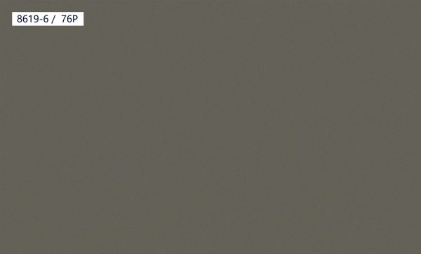 8619-6,76P