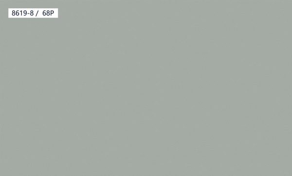 8619-8,68P