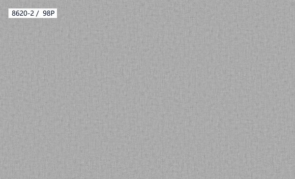 8620-2,98P