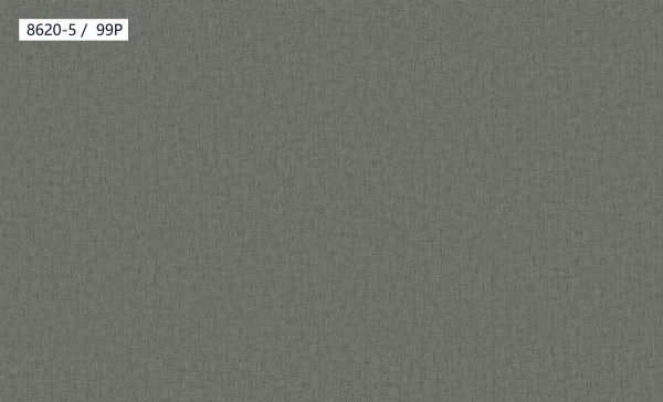 8620-5,99P