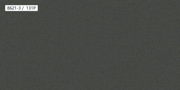 8621-3,131P